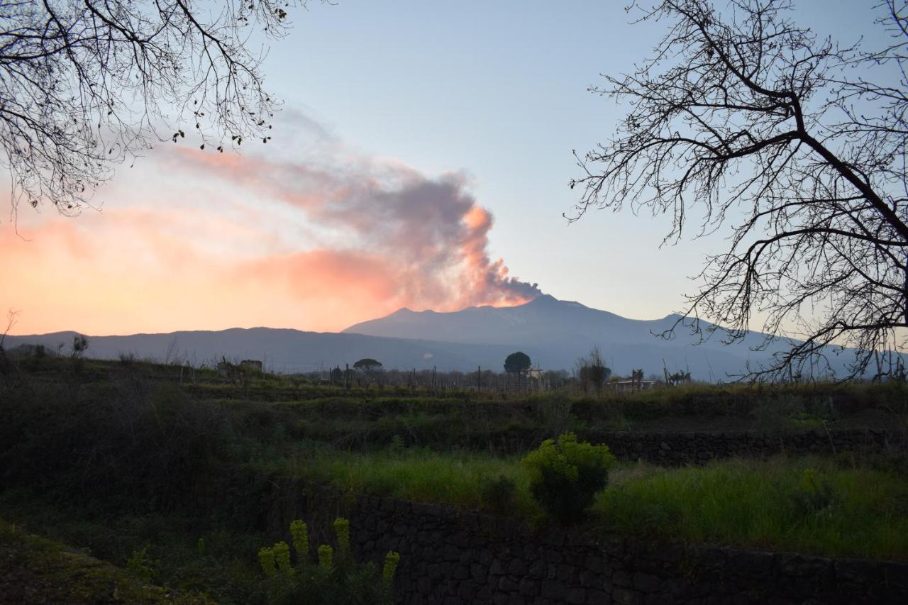 הוילה סנטה ונרינה Etna Tra Le Querce מראה חיצוני תמונה